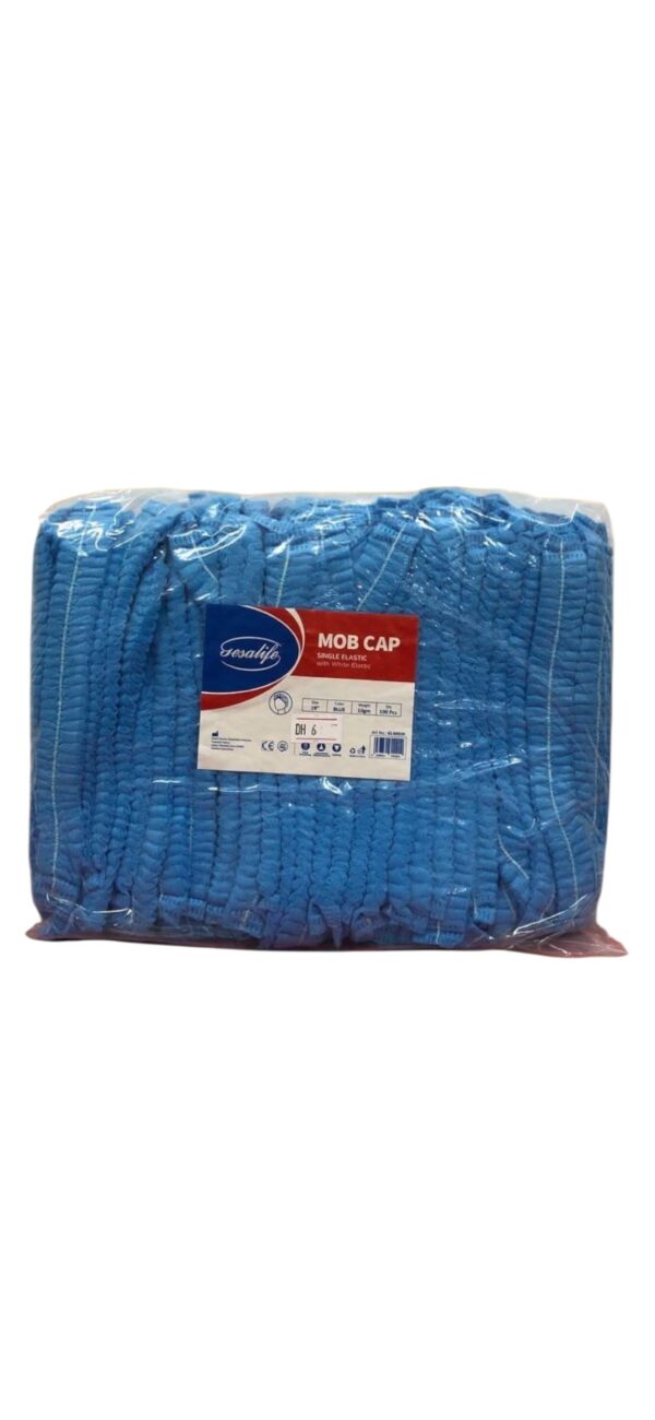 Hairnet Blue 100pcs